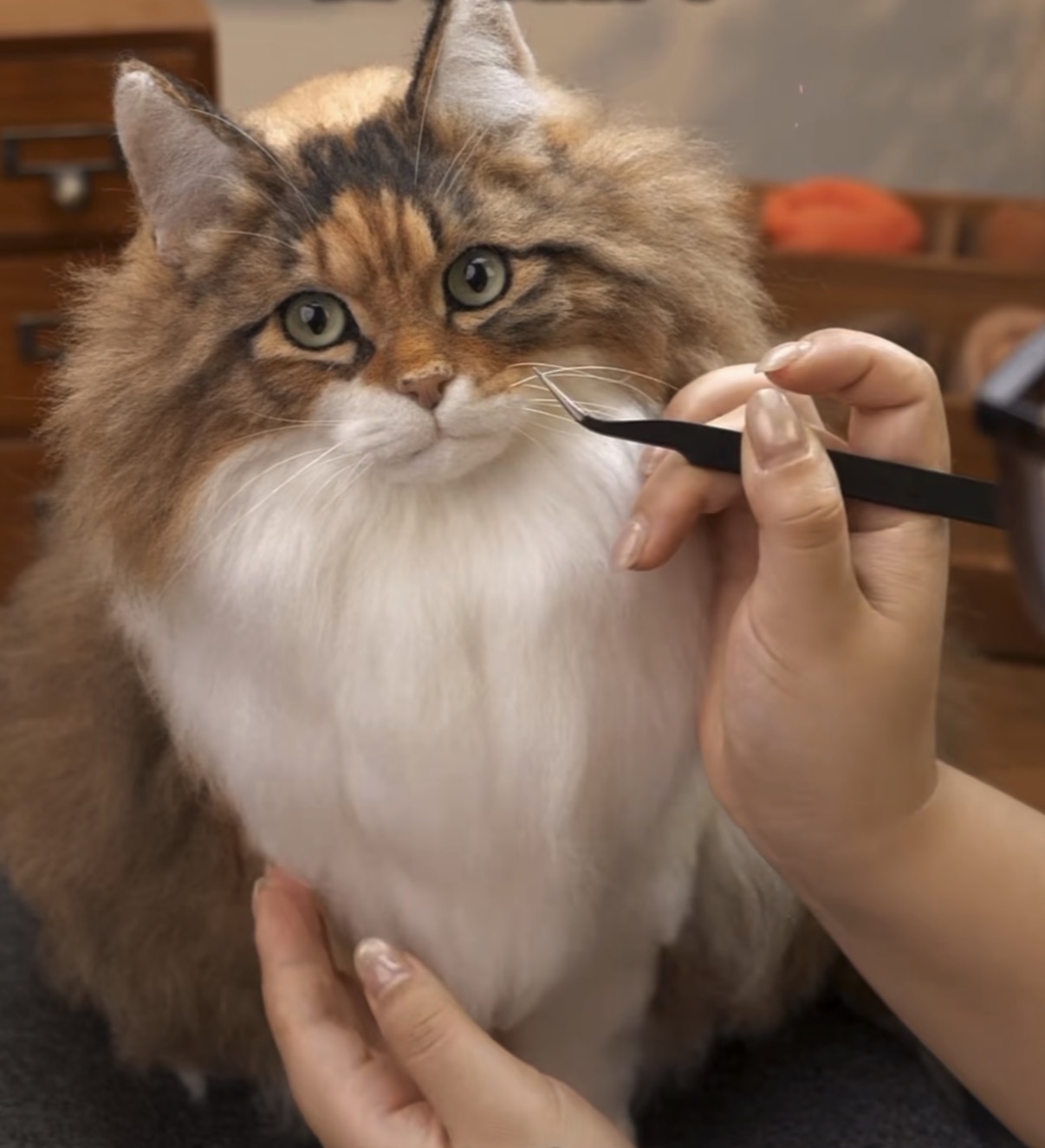 Artist adding whiskers to a long-haired wool cat sculpture with tweezers